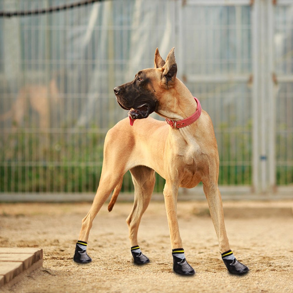 Waterproof Non-Slip Cotton Shoes For Dogs - Image 2